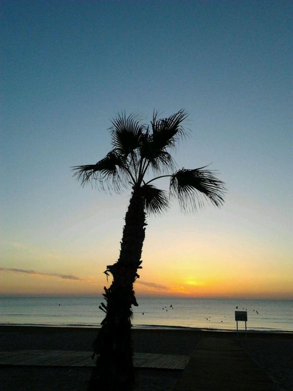 Property main view 28