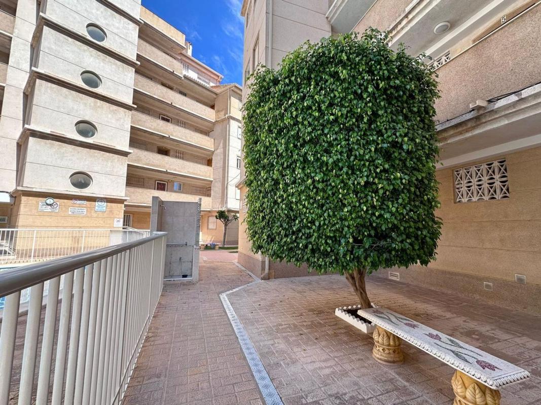 Property main view 30