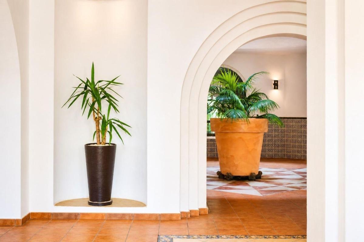 apartment te koop in Torrevieja | 3 slaapkamers H586985