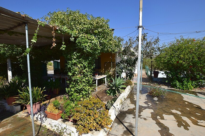 Property main view 19