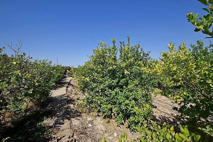 Property main view 21