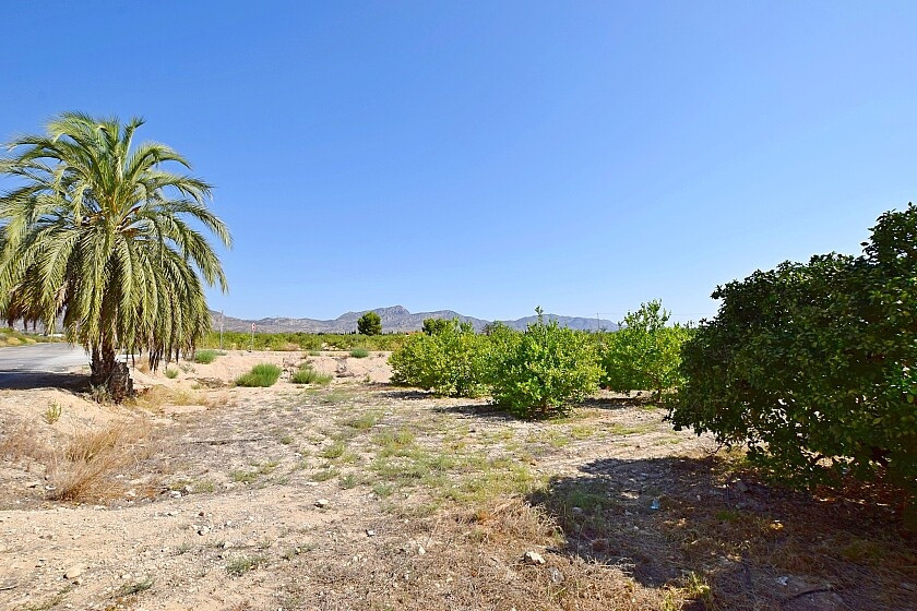 Property main view 25