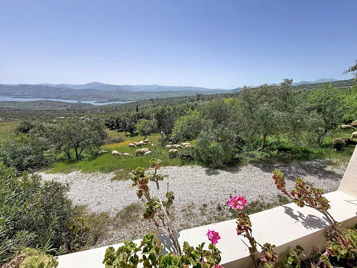Property main view 39