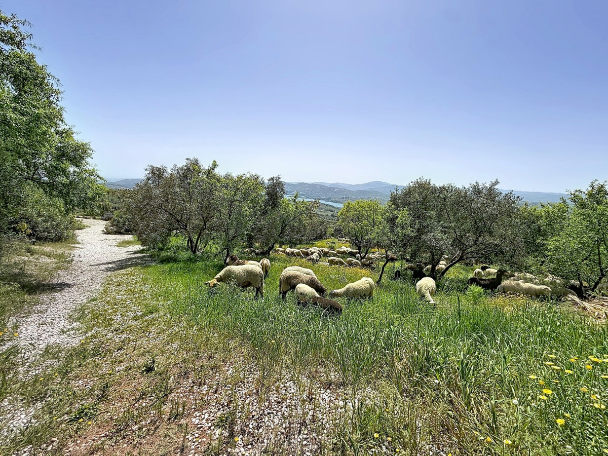 Property main view 40