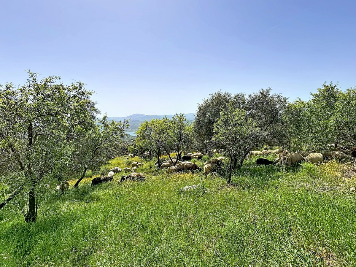 Property main view 41