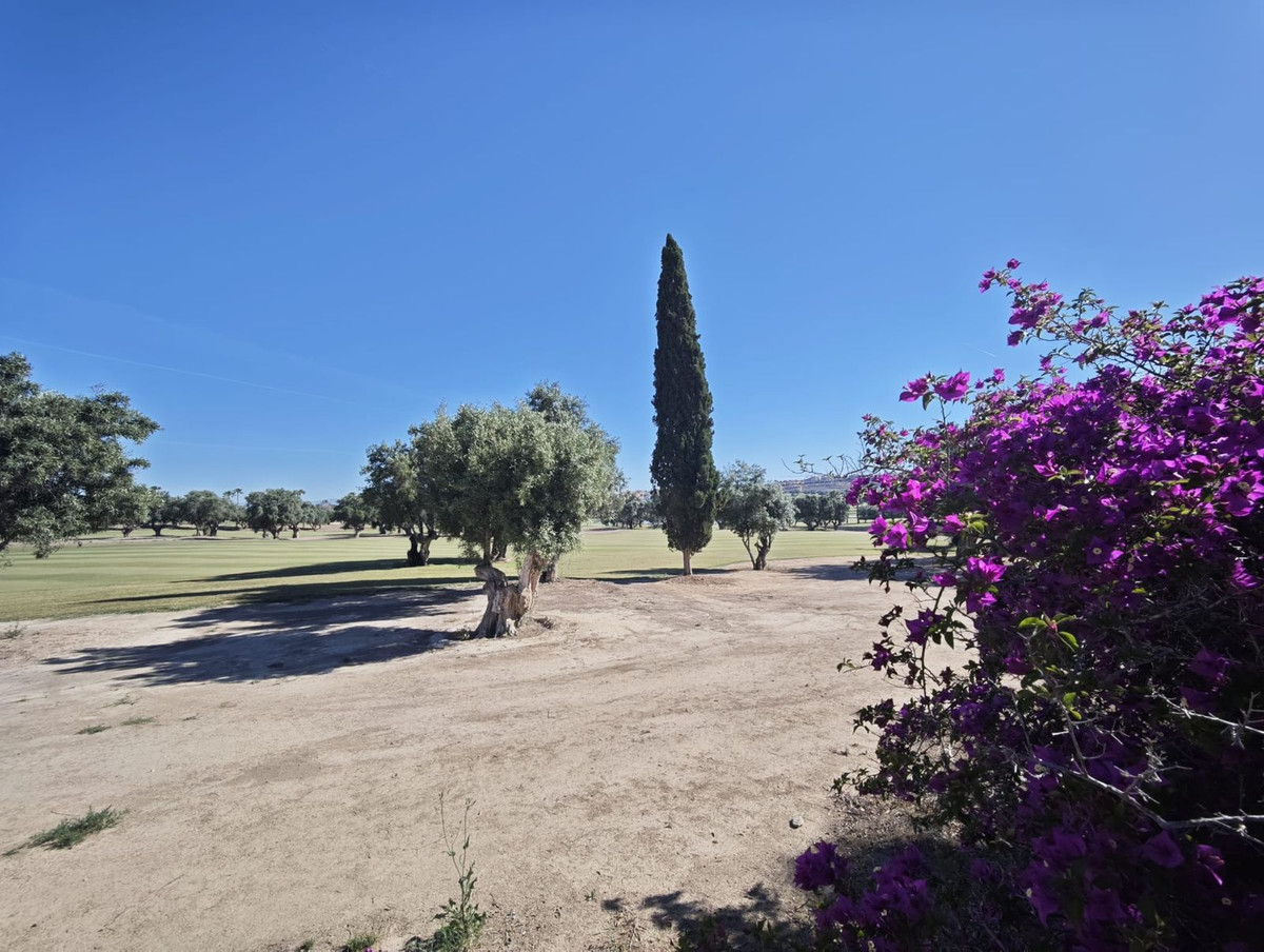 Property main view 28
