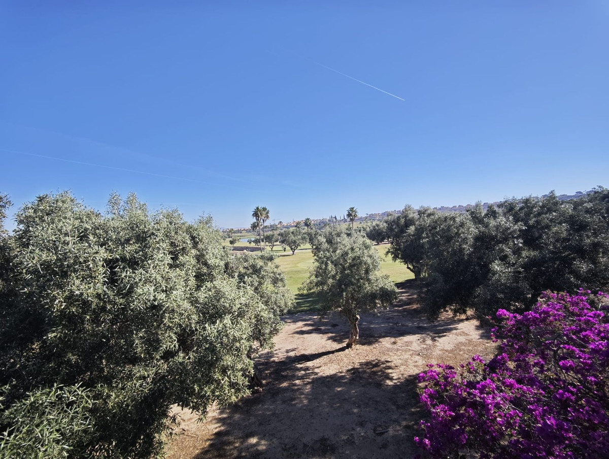 Property main view 34