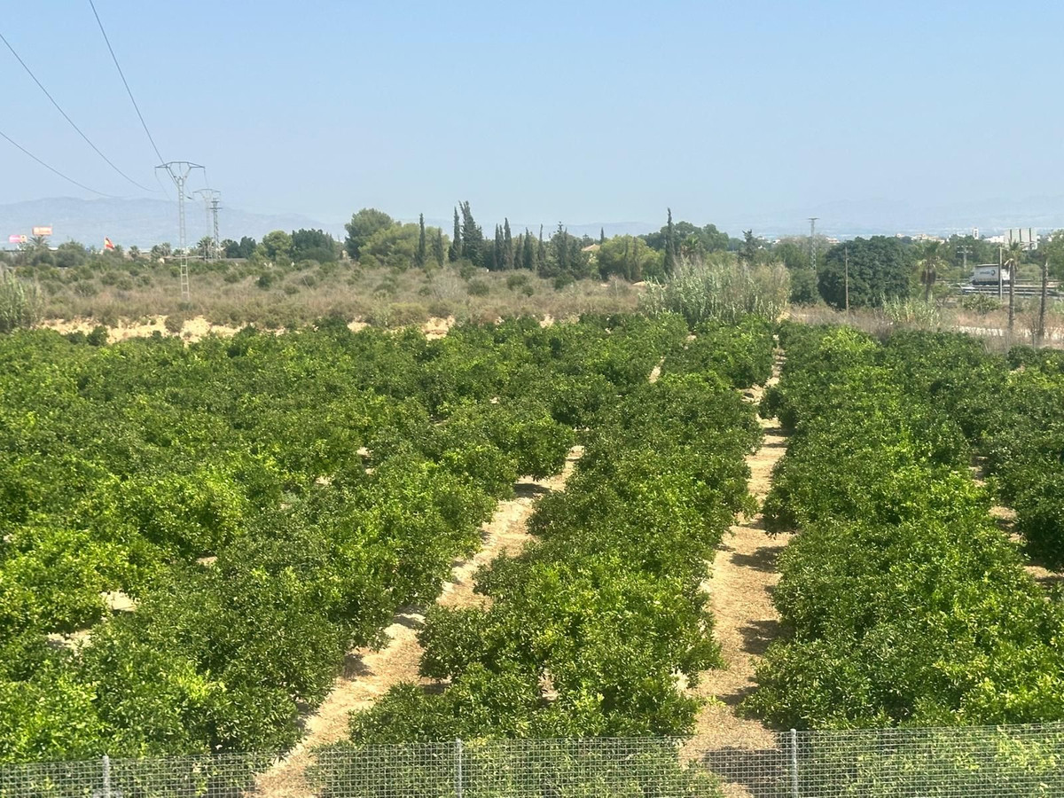 Huis te koop in Algorfa | 3 slaapkamers H5457613