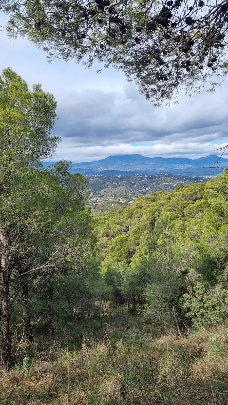 Property main view 54
