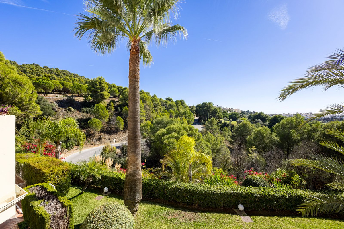 Property main view 6