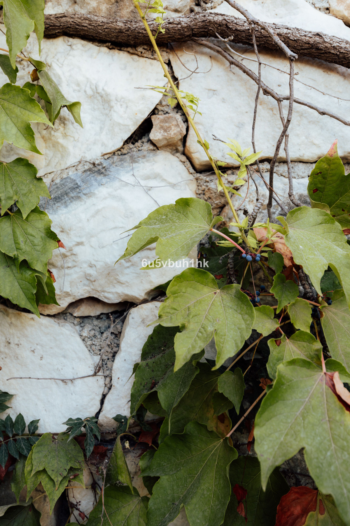 Huis te koop in Alhaurín de la Torre | 5 slaapkamers H5310550