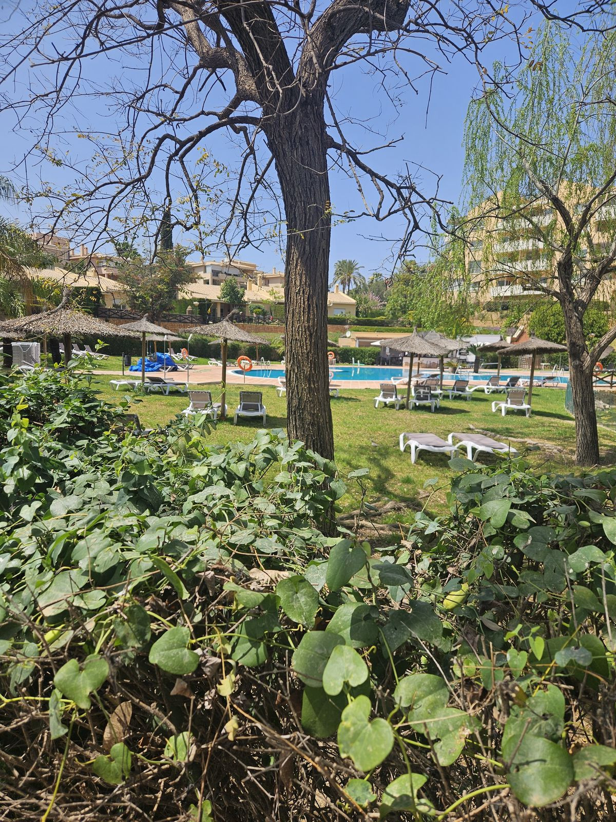 Property main view 63