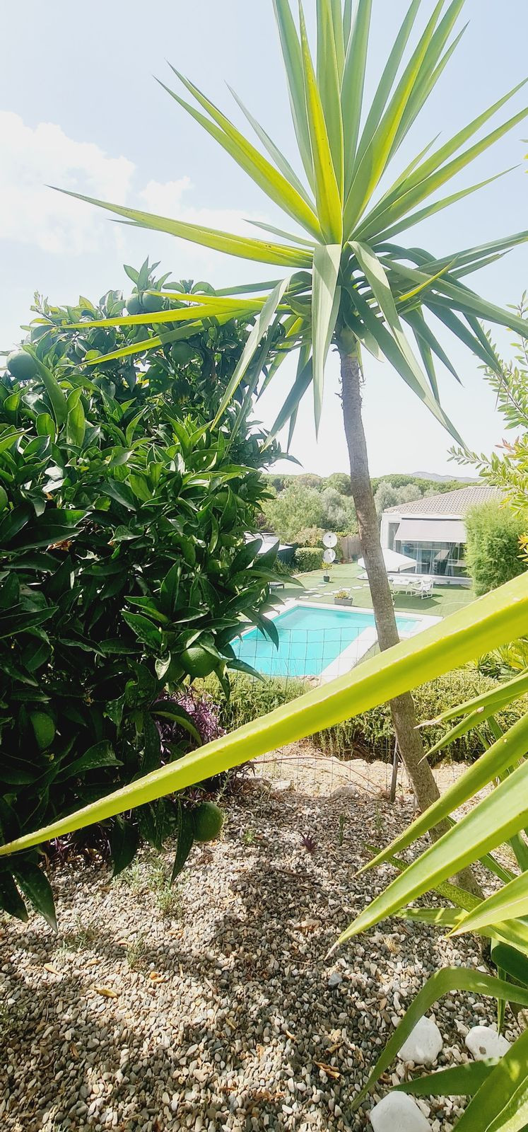Property main view 52