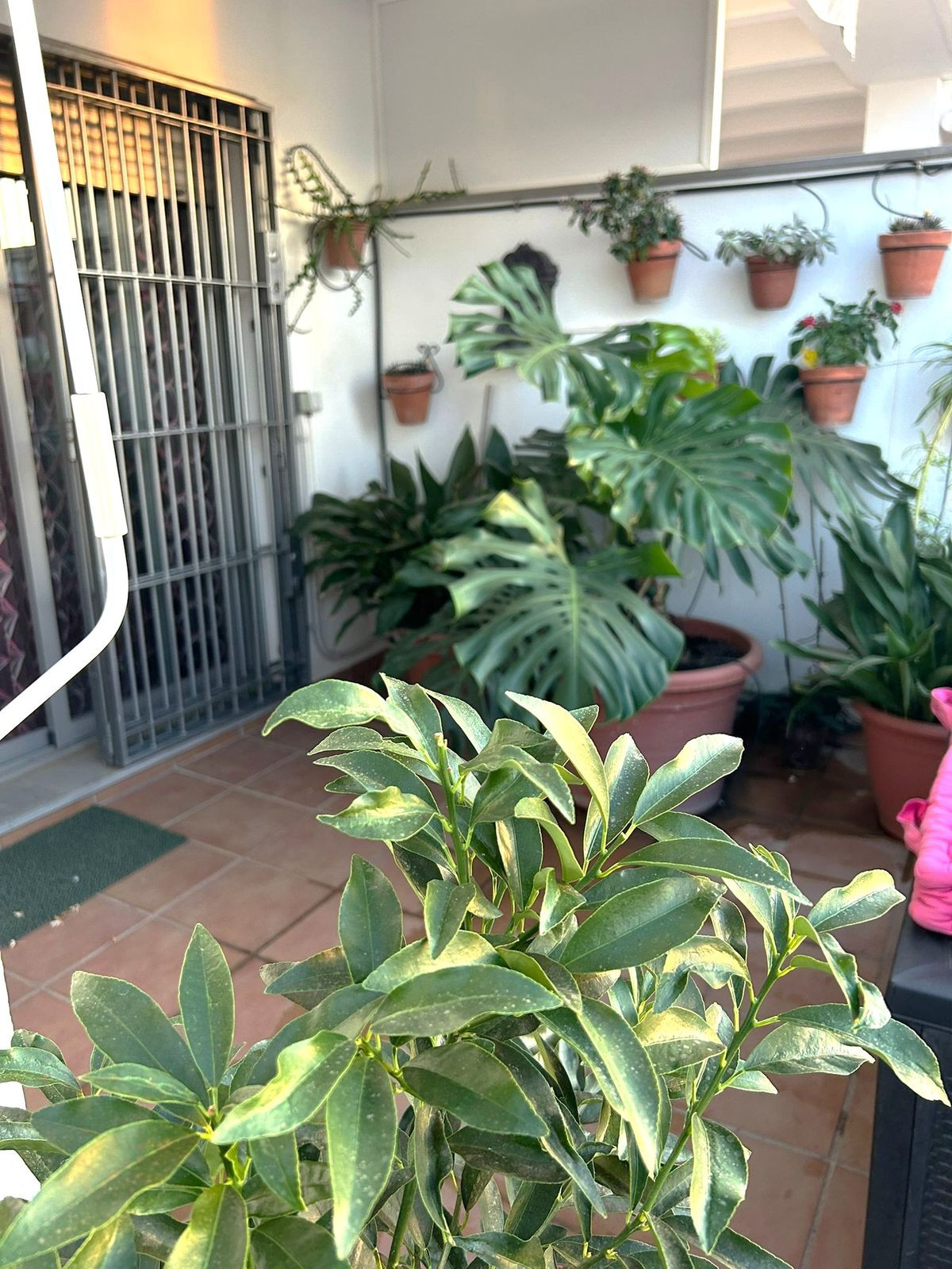 Property main view 36