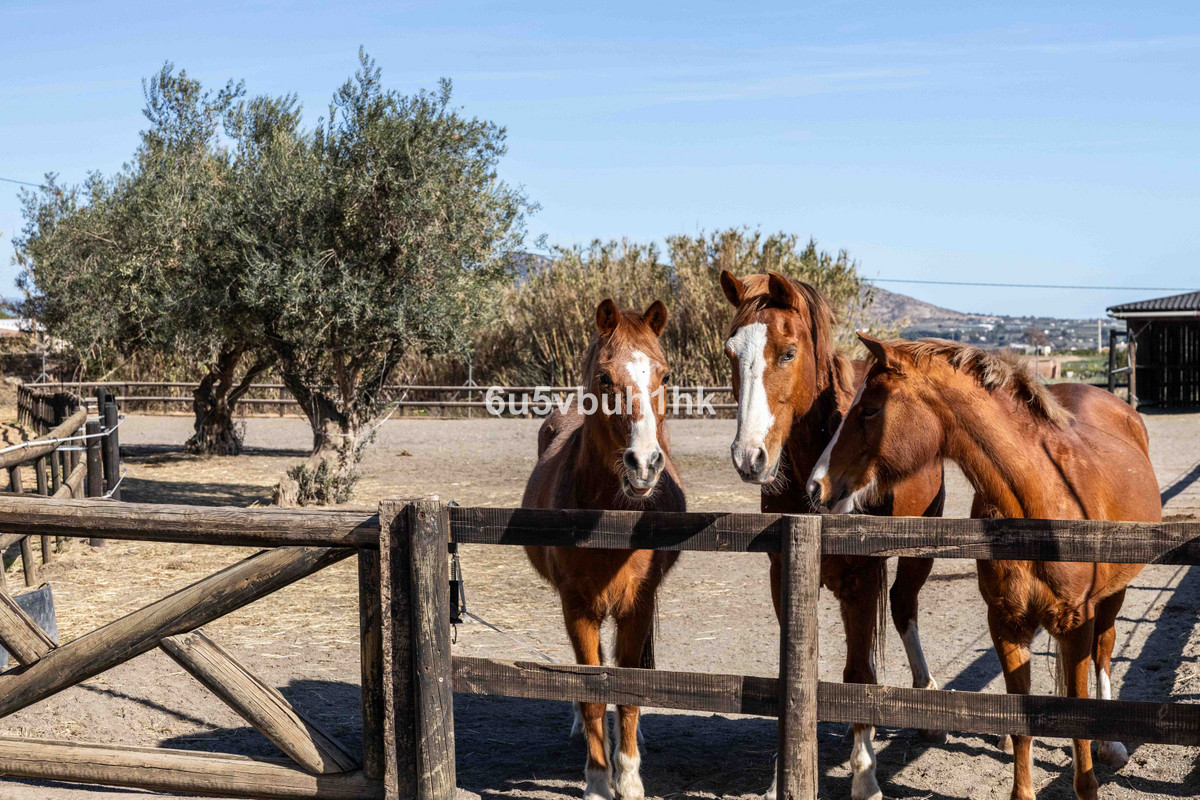 Huis te koop in Alhaurín el Grande | 4 slaapkamers H5306599