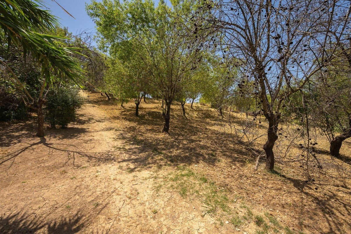 Property main view 24