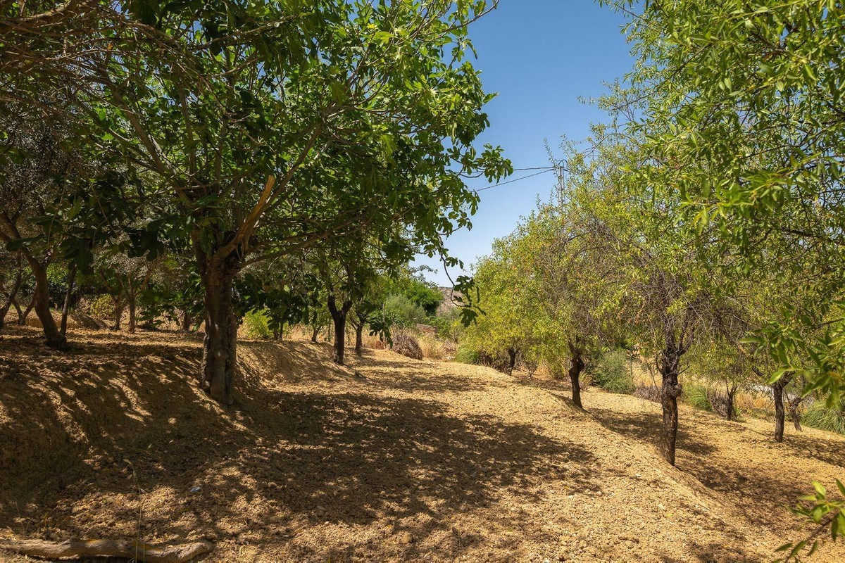 Property main view 28