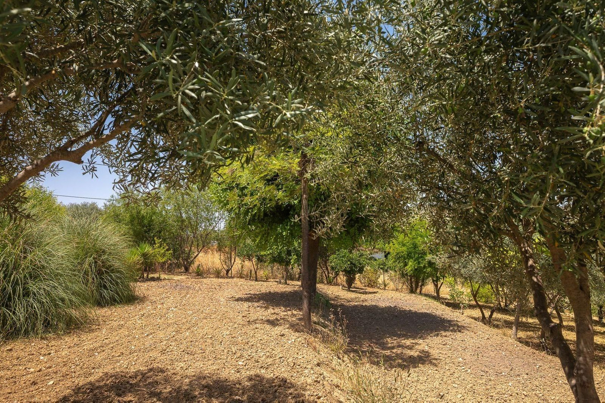 Property main view 32