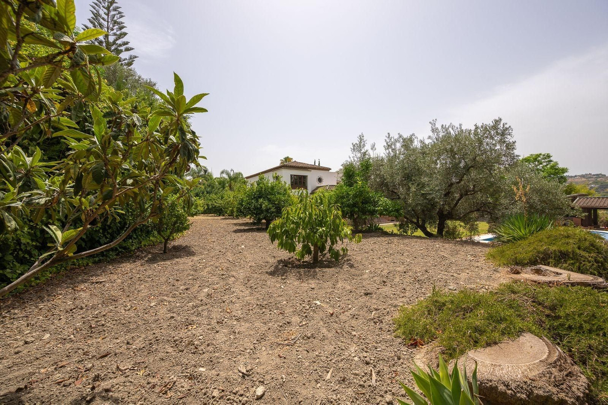 Property main view 41