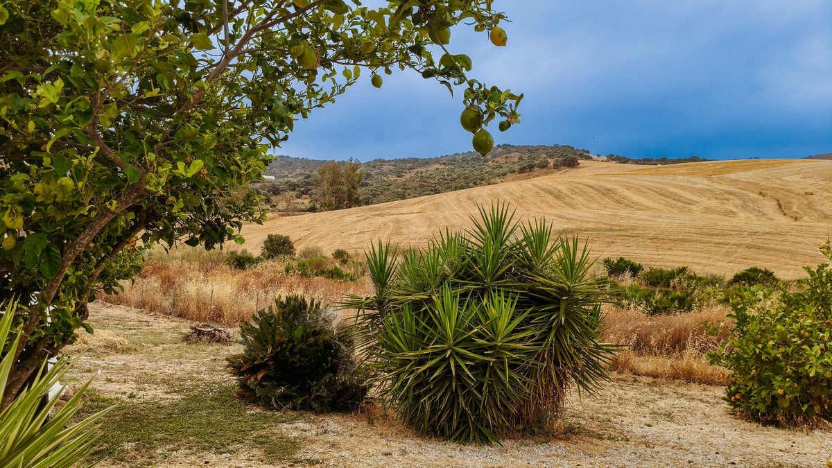 Finca - Cortijo te koop in Almogía | 3 slaapkamers H5172727