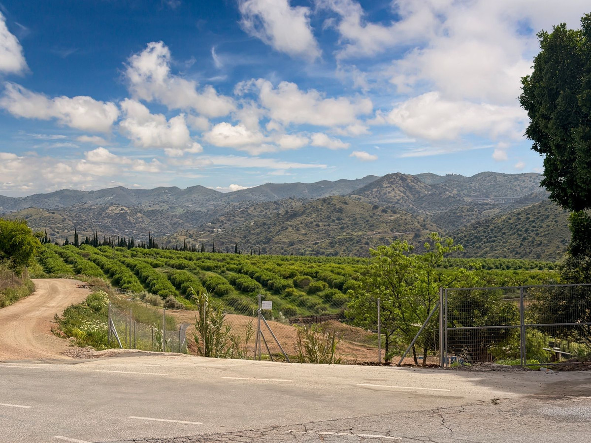 Property main view 50