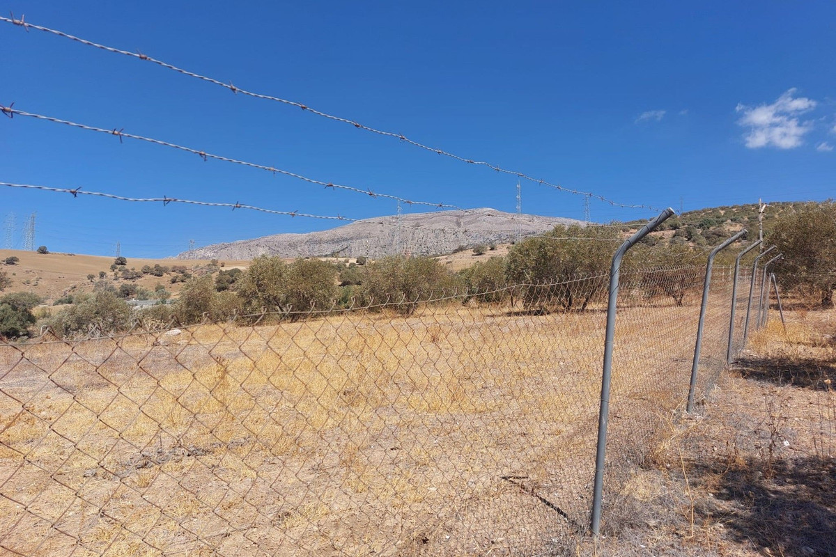 Grond te koop in Alora | 0 slaapkamers H5138524