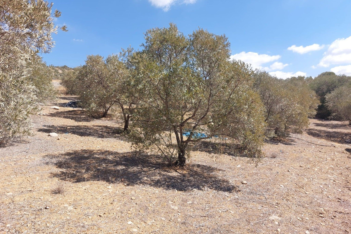 Grond te koop in Alora | 0 slaapkamers H5138524