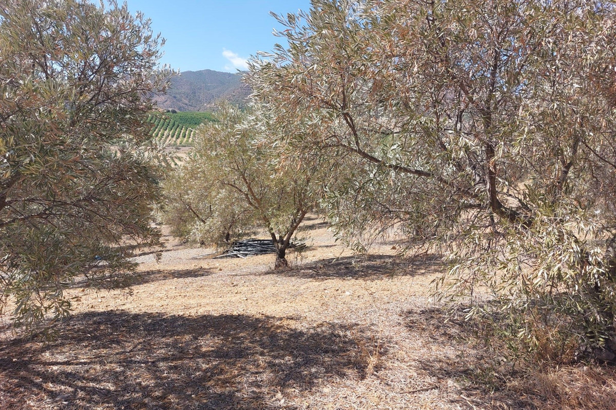 Grond te koop in Alora | 0 slaapkamers H5138524