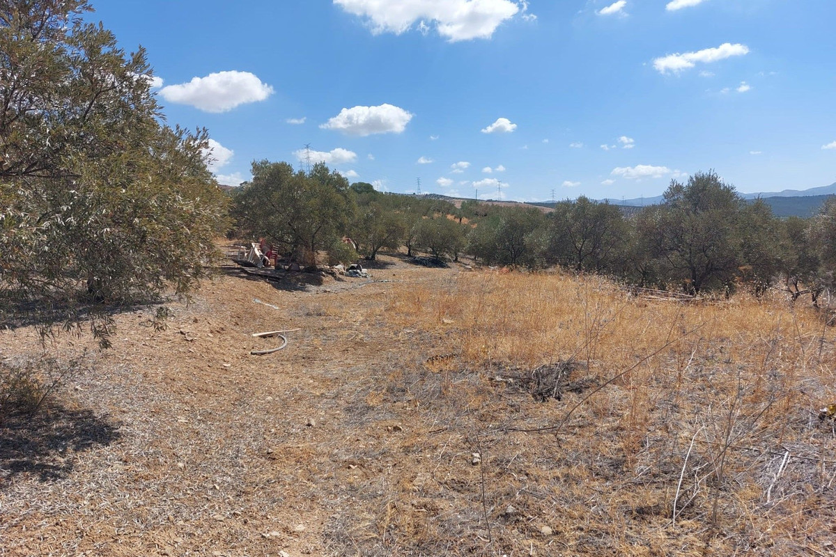 Grond te koop in Alora | 0 slaapkamers H5138524