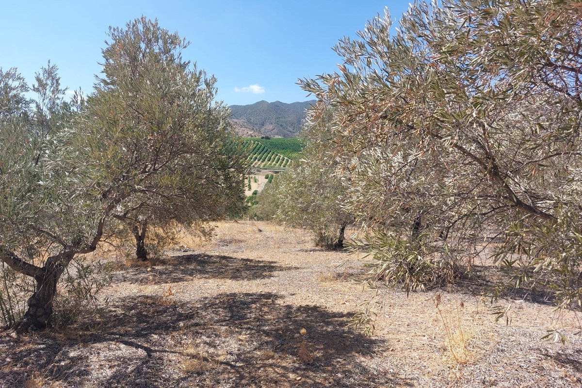 Grond te koop in Alora | 0 slaapkamers H5138524