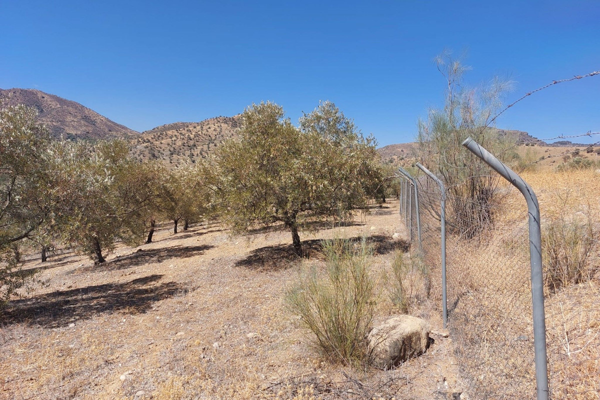 Grond te koop in Alora | 0 slaapkamers H5138524