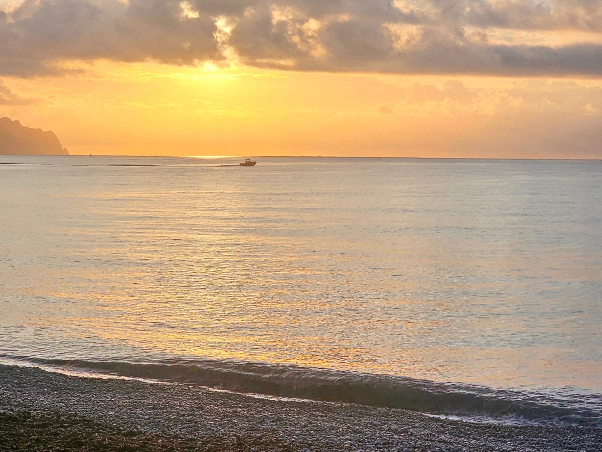 Property main view 2