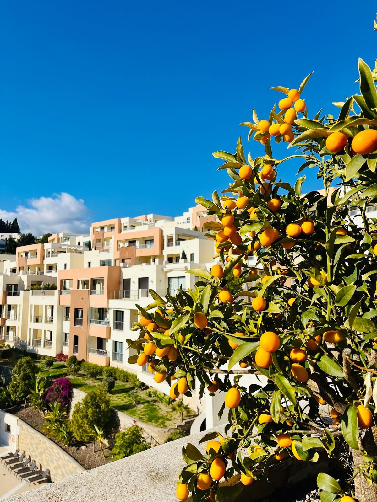 Penthouse in Altos de los Monteros-21