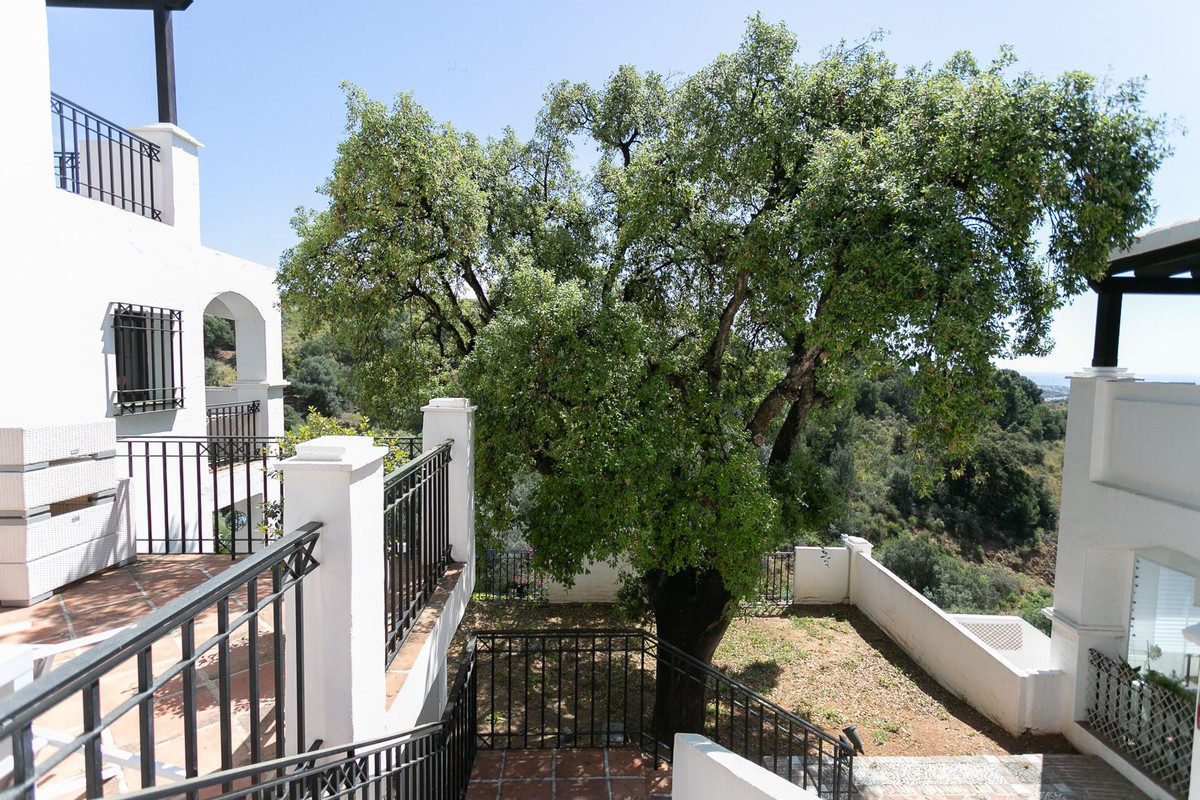 Penthouse Duplex in Altos de los Monteros-53