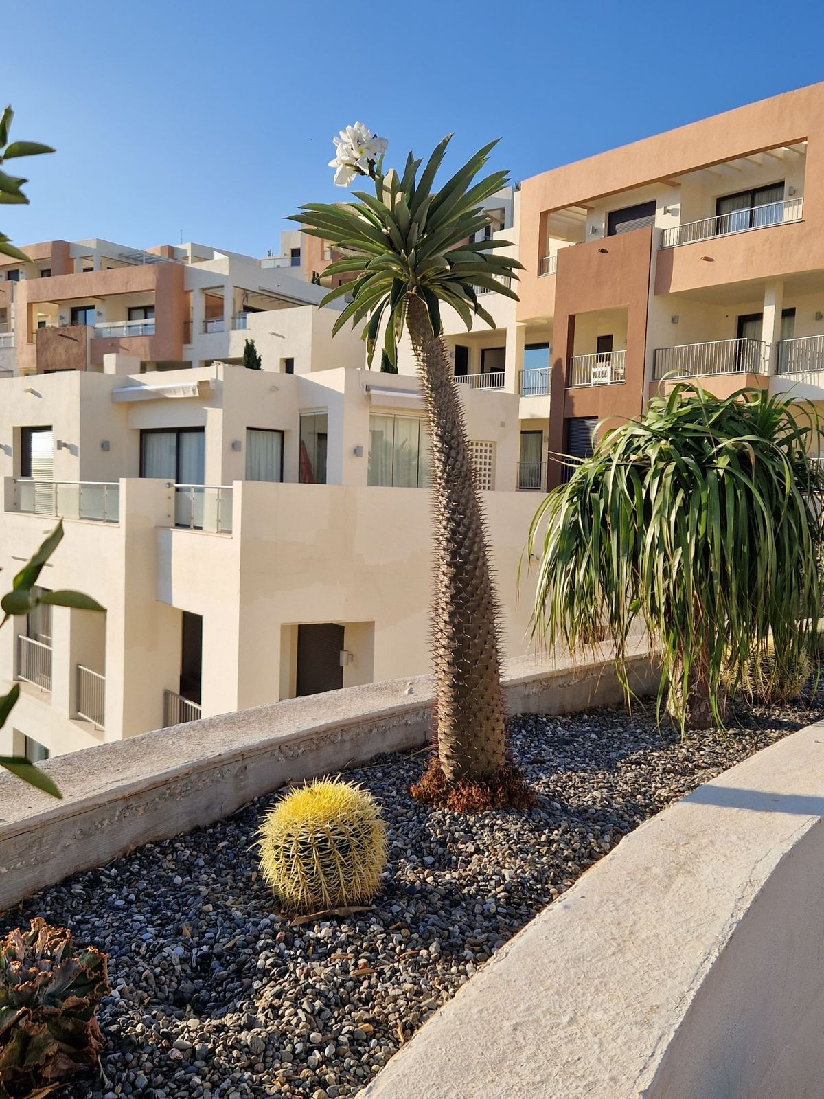 Begane grond appartement in Altos de los Monteros-14