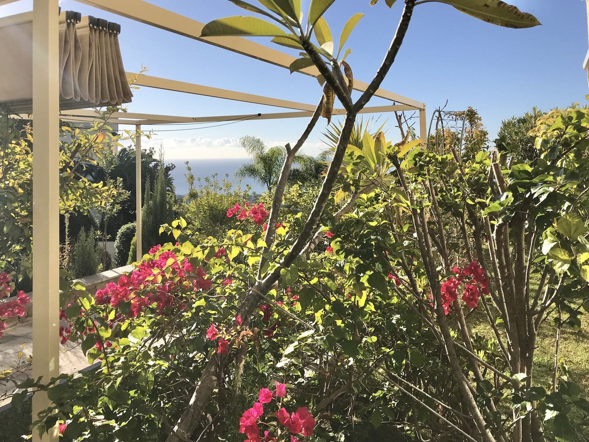 Property main view 33