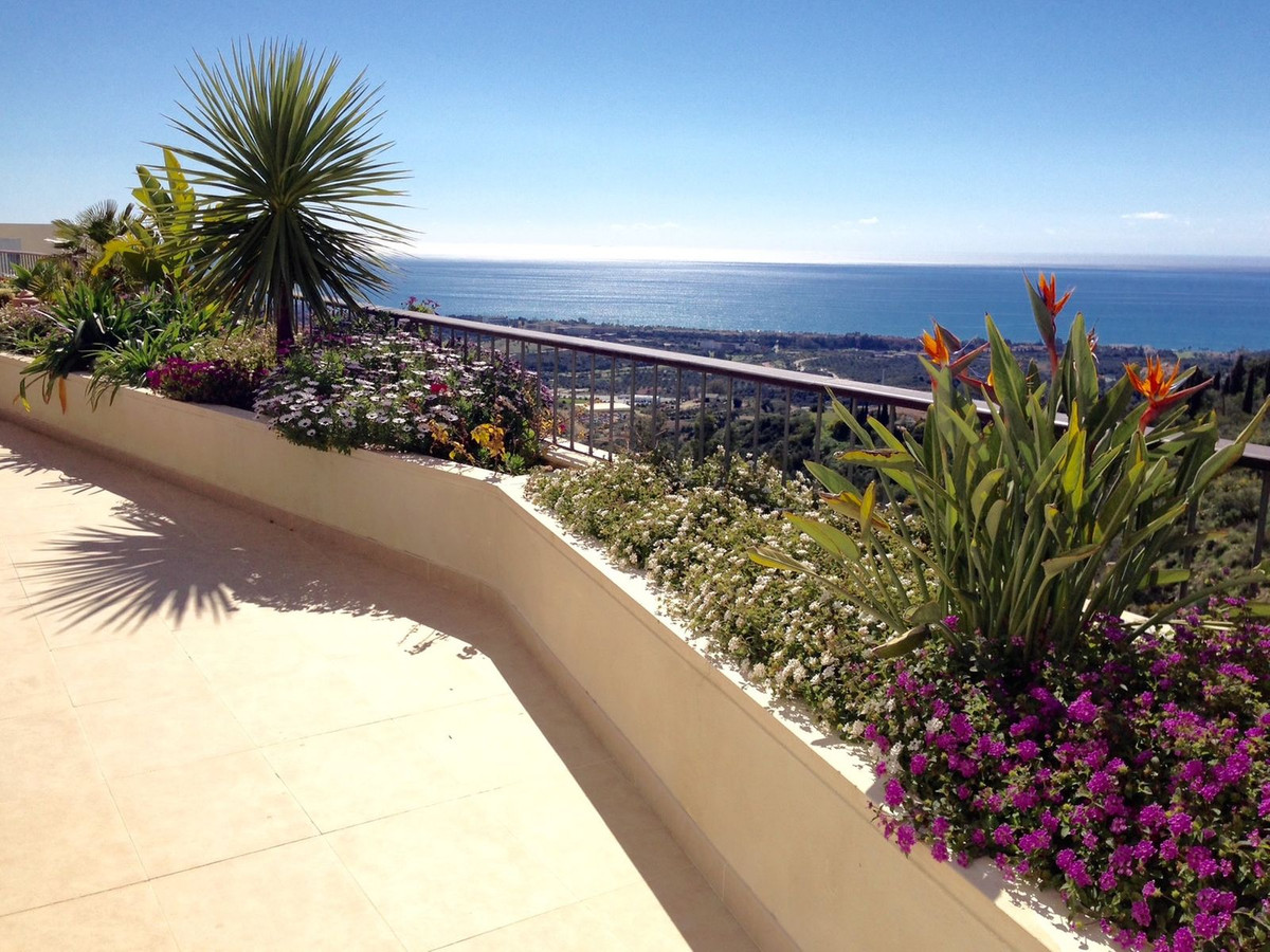 Property main view 5
