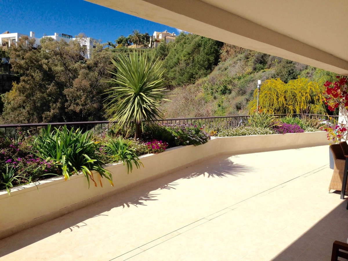 Property main view 6