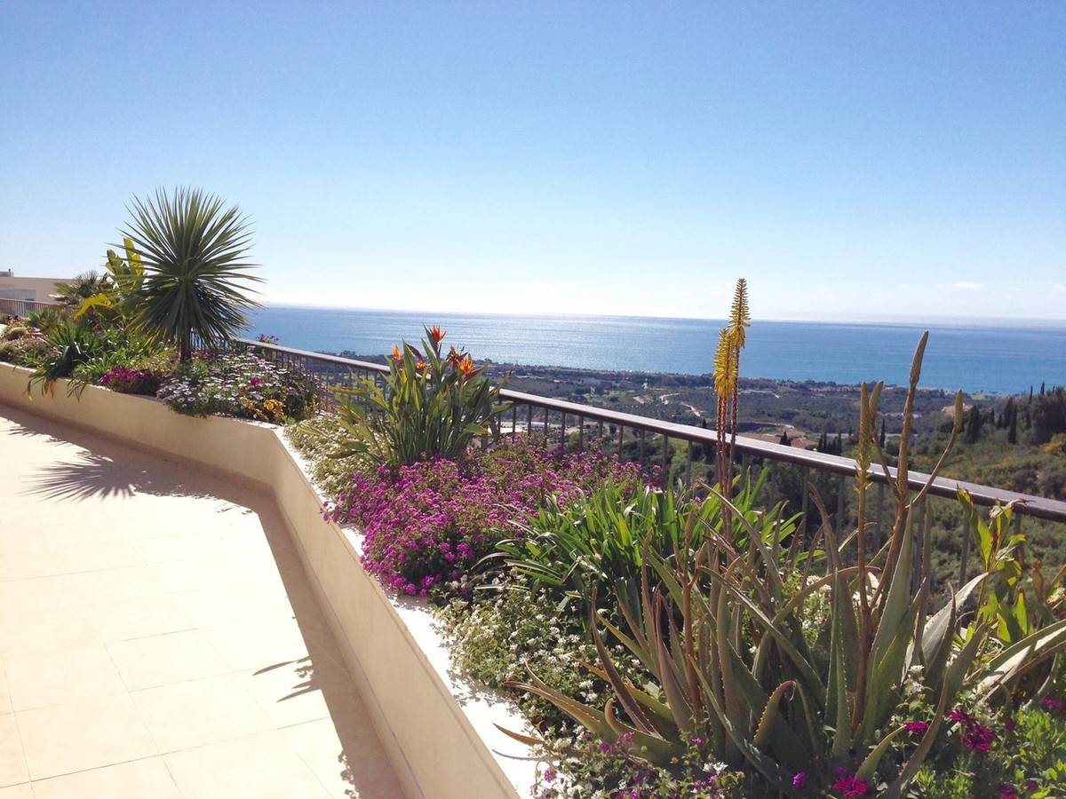 Property main view 7