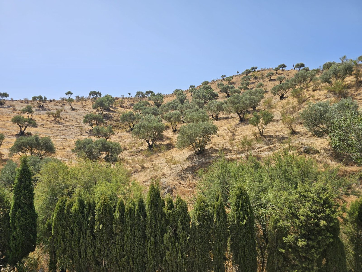Property main view 38