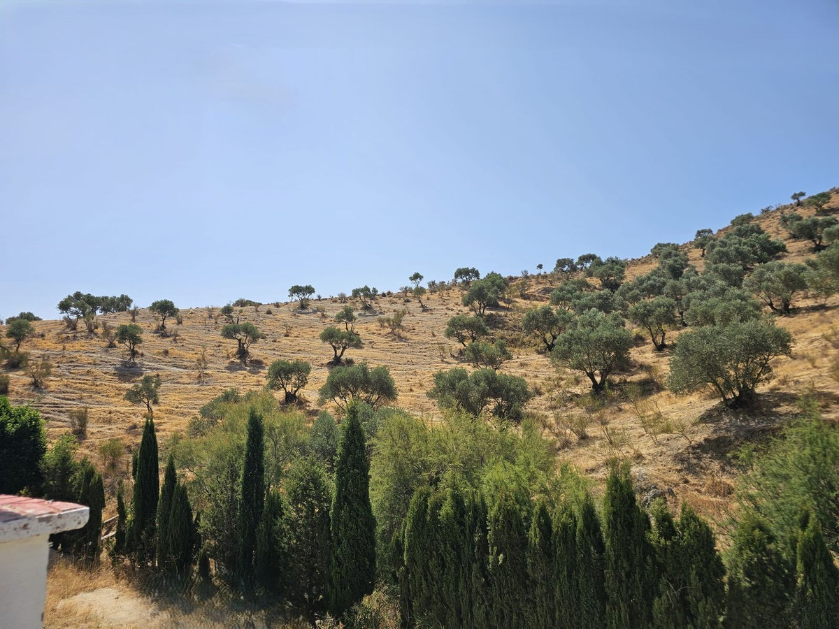 Property main view 43