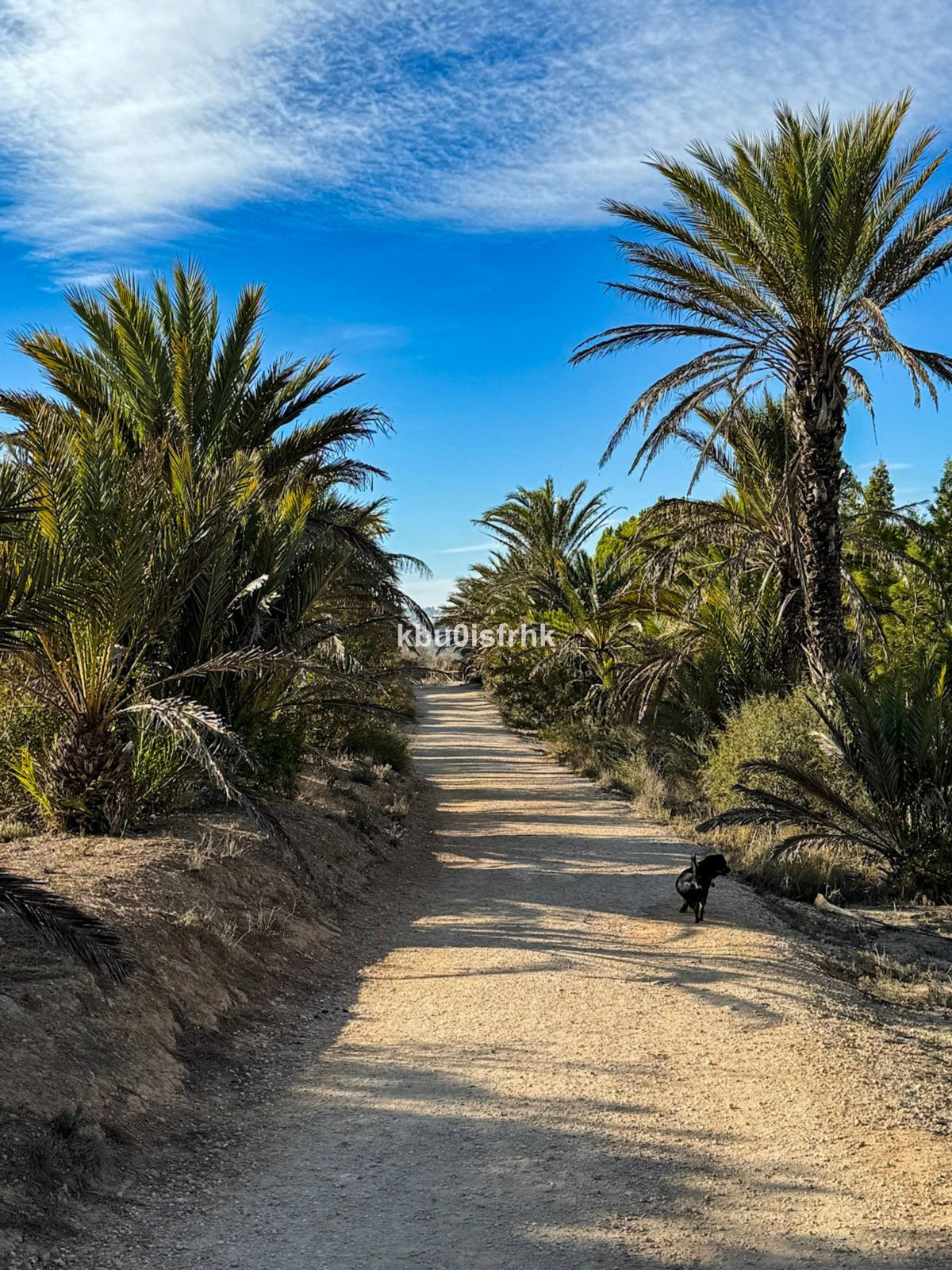 Appartement te koop in Arenales del Sol | 2 slaapkamers H5256871