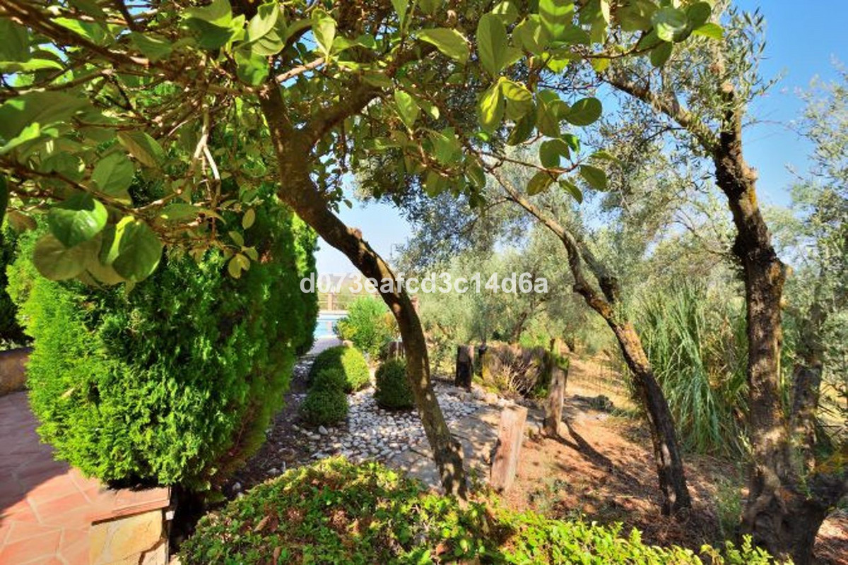 Property main view 12
