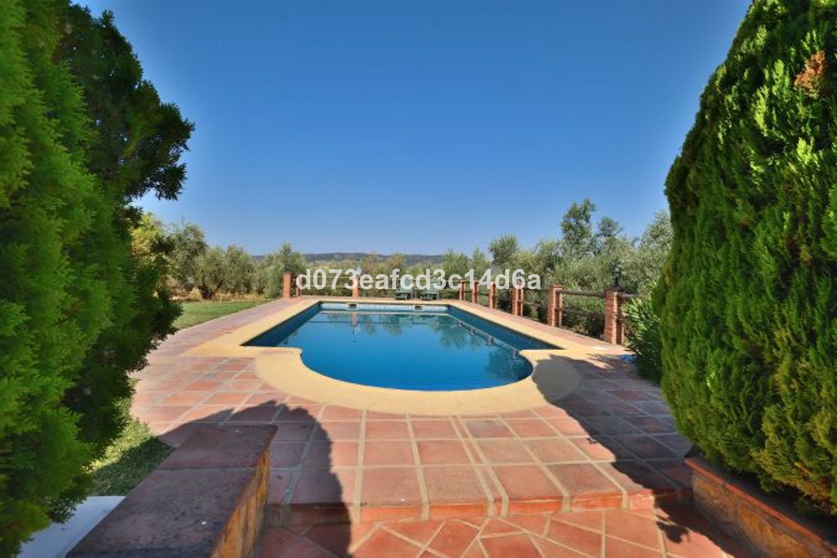 Property main view 16