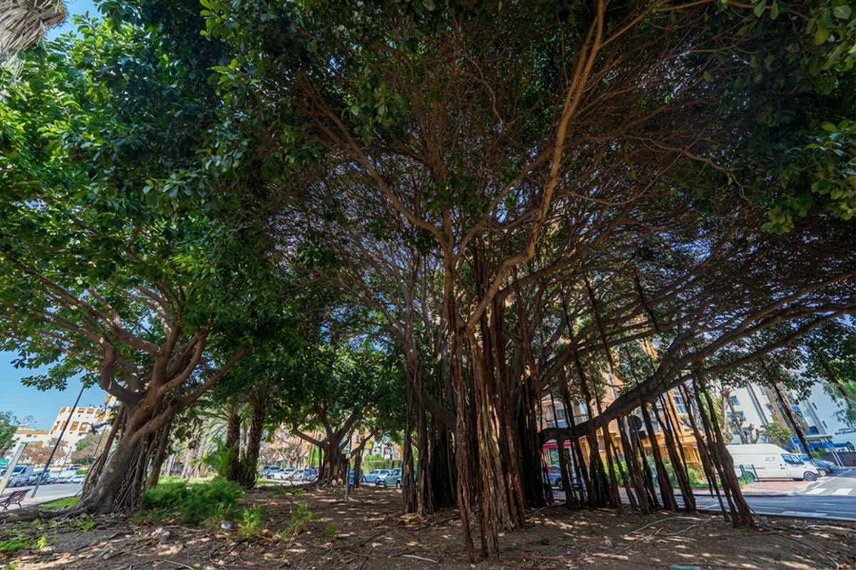 Appartement te koop in Arroyo de la Miel | 2 slaapkamers H5273950