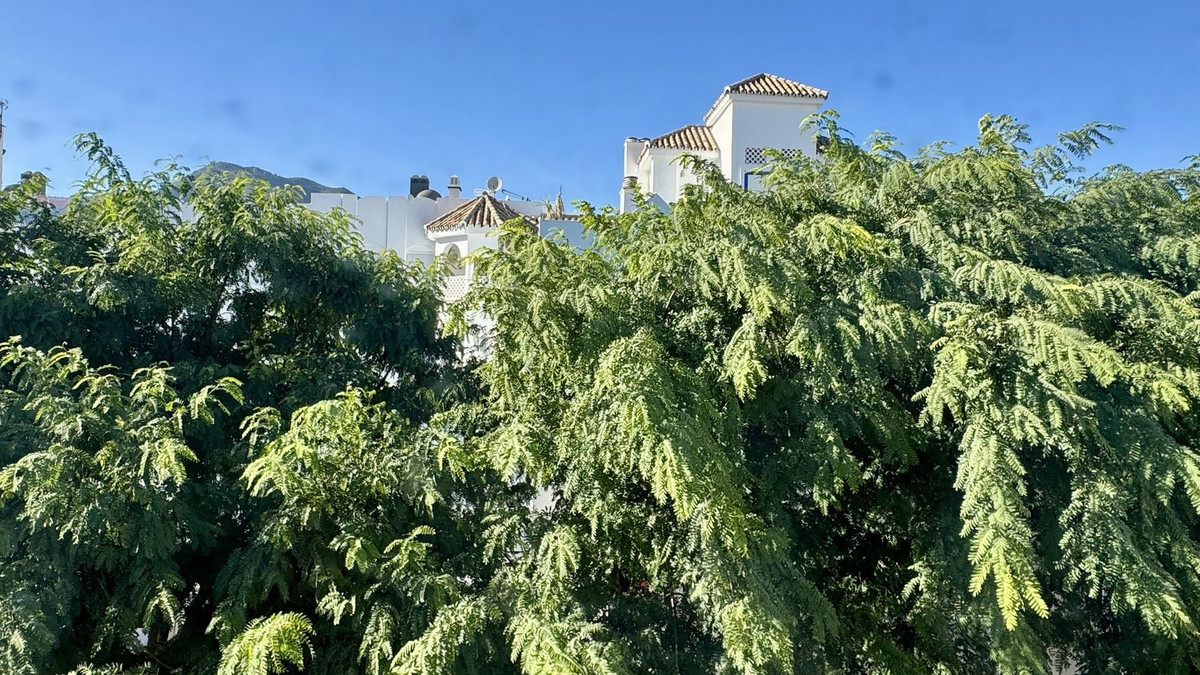 Property main view 31