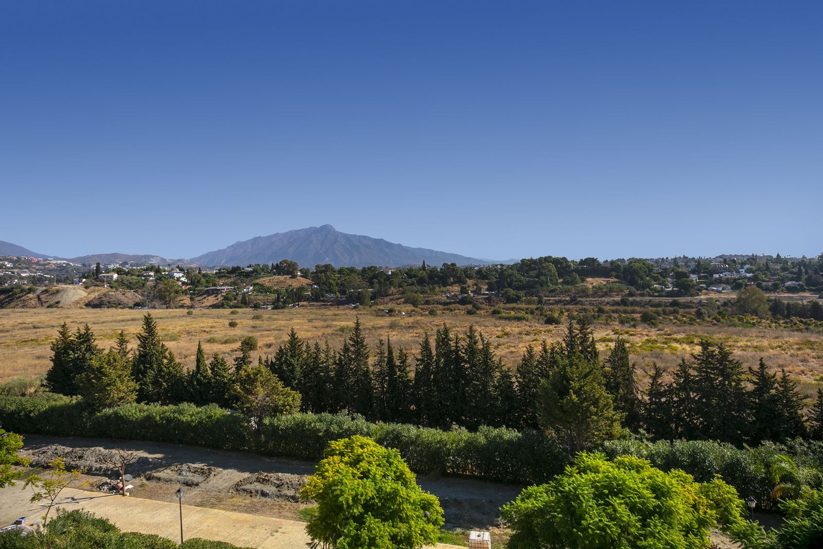 Property main view 19