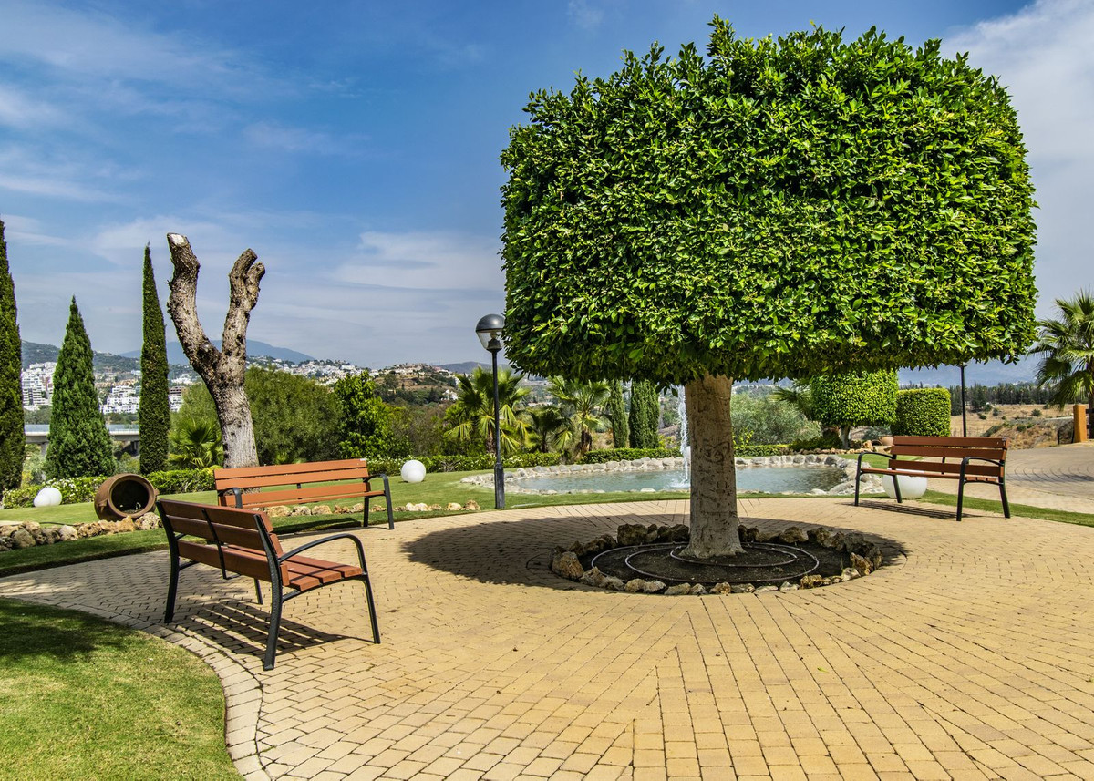 Property main view 21