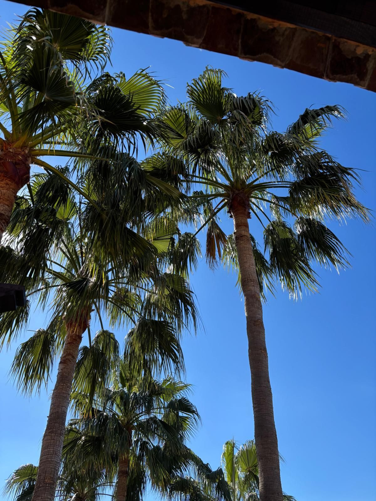 Penthouse Duplex te koop in Atalaya | 3 slaapkamers H5363866