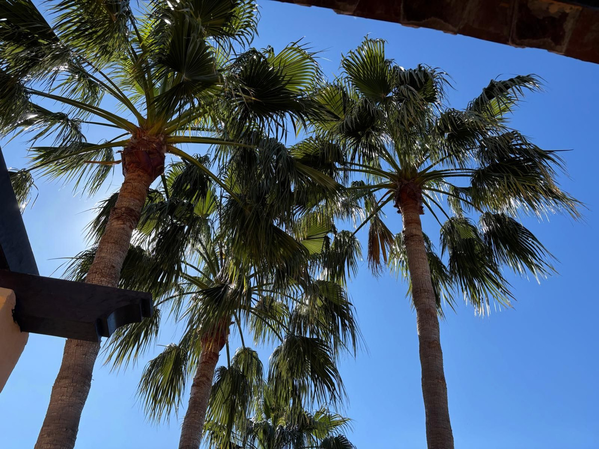 Penthouse Duplex te koop in Atalaya | 3 slaapkamers H5363866